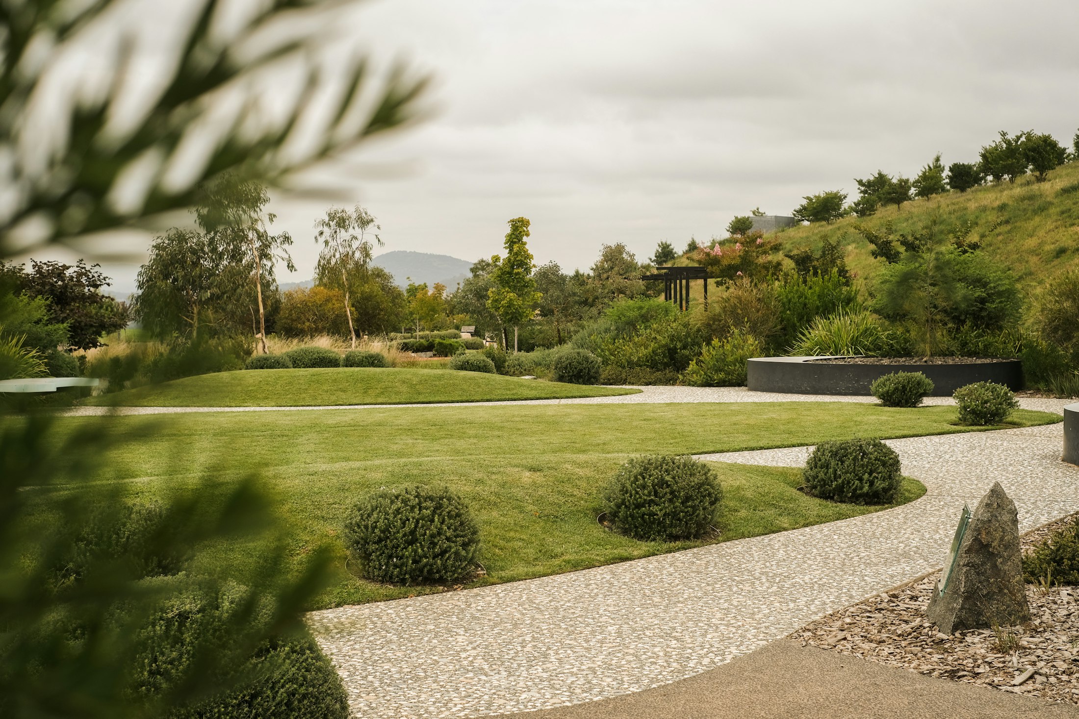 Jardin paysager contemporain avec allée de gravier